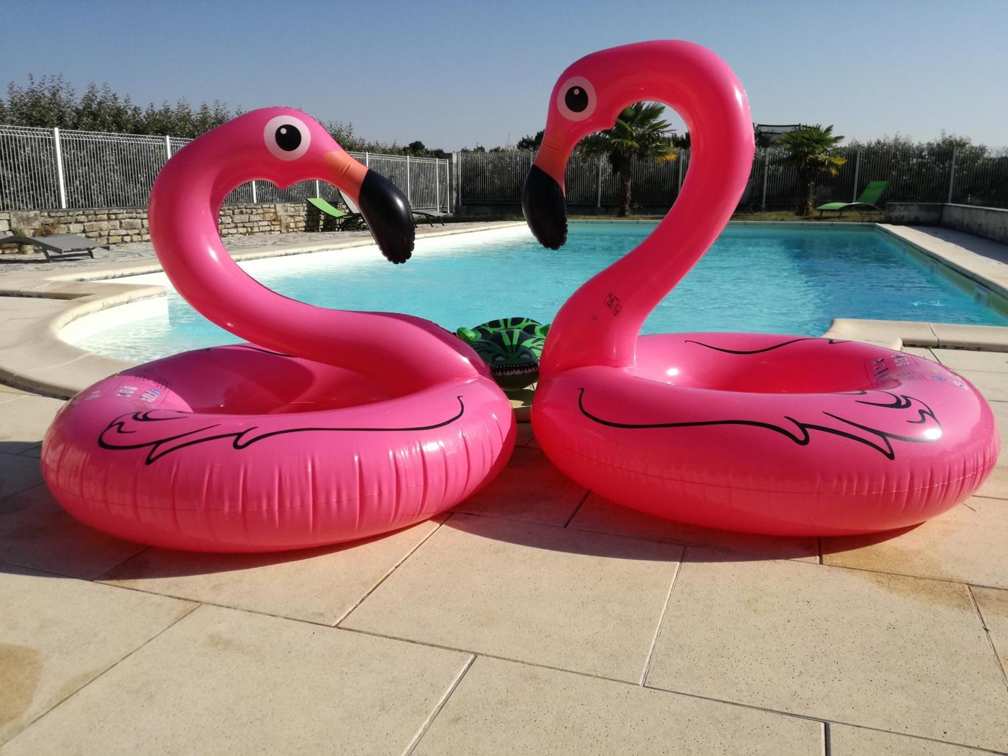 Domaine De La Laigne - Spa Asnières-la-Giraud Dış mekan fotoğraf